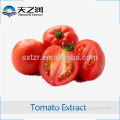 Hot selling Manufactuer supply Natural fruit extracts tomato concentrate powder Lycopene extract